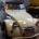 duck914s Avatar